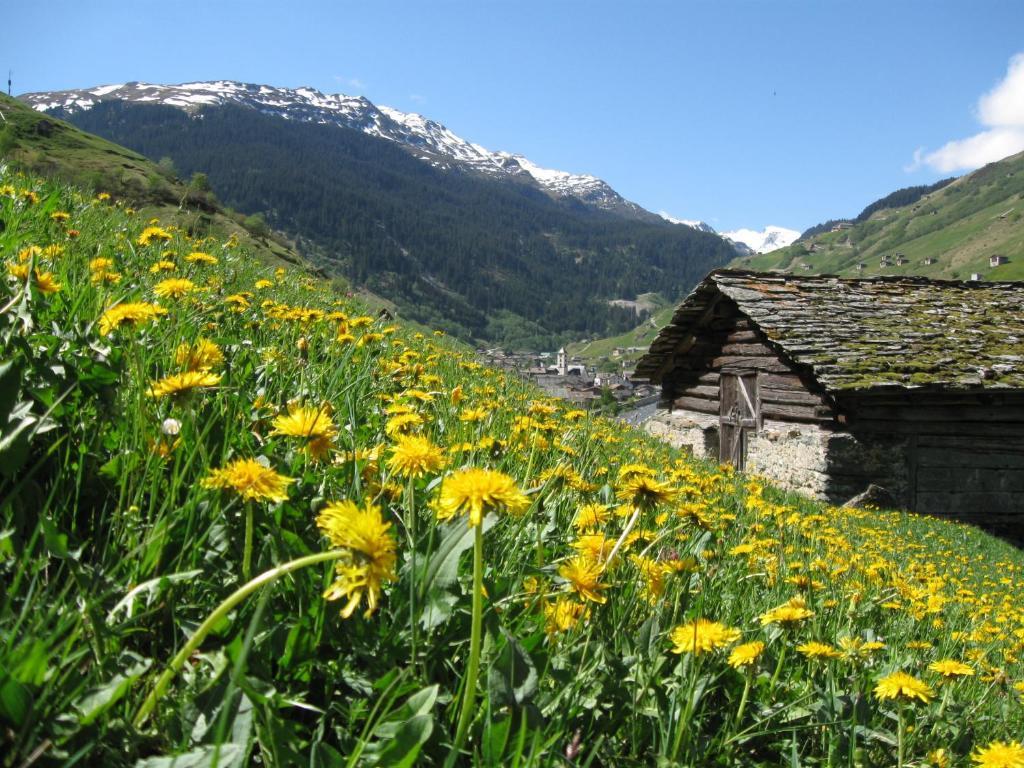 Ferienwohnung Mura Vals Luaran gambar