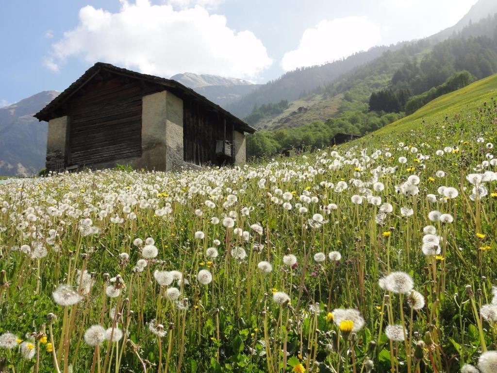 Ferienwohnung Mura Vals Luaran gambar